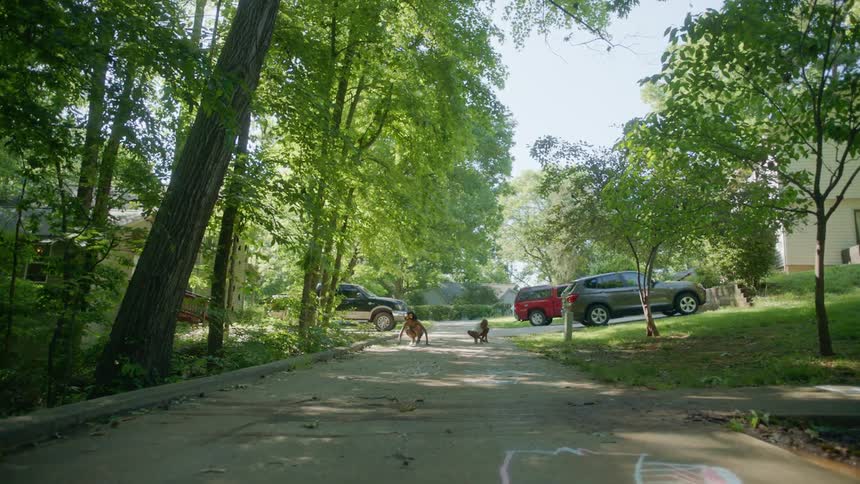 Two people are picking up things in front of the house