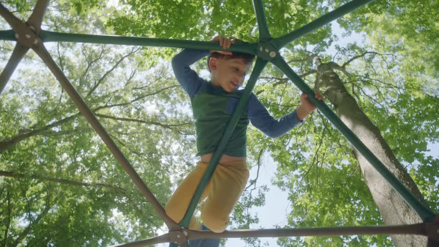 Boy plays on jungle gym surrounded by trees under clear sky