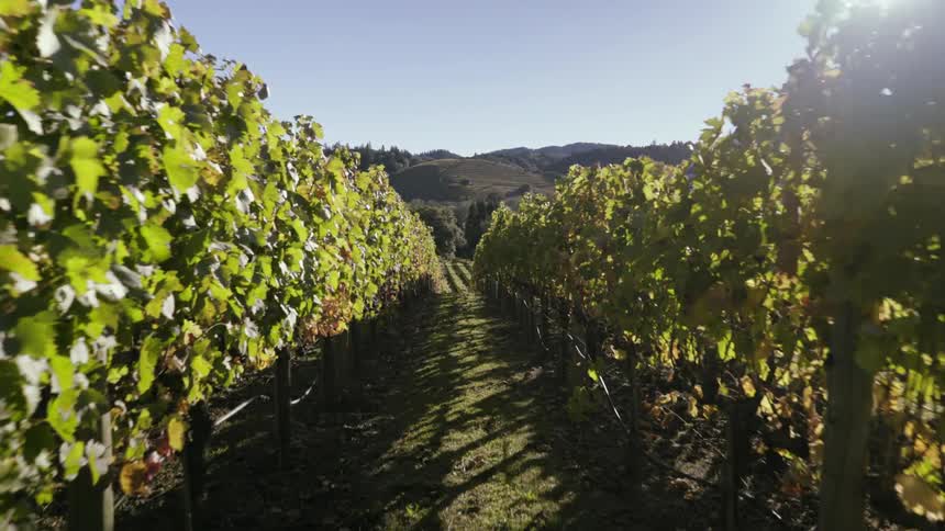 Passing between rows in an orchard