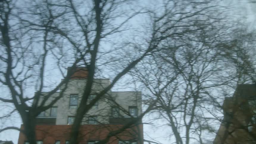 Trees with a utility pole with buildings the sky and clouds in the background