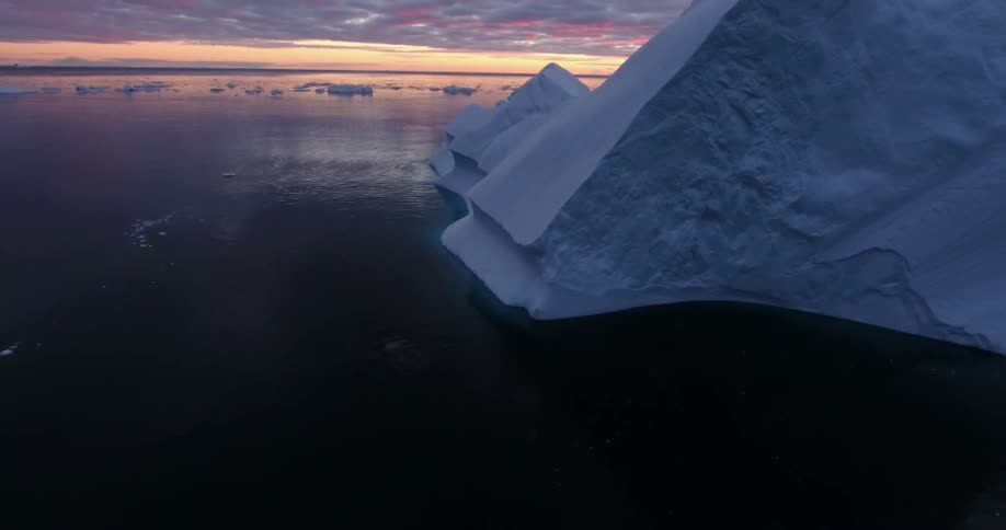 Whales swim in the arctic near a large iceberg in the evening