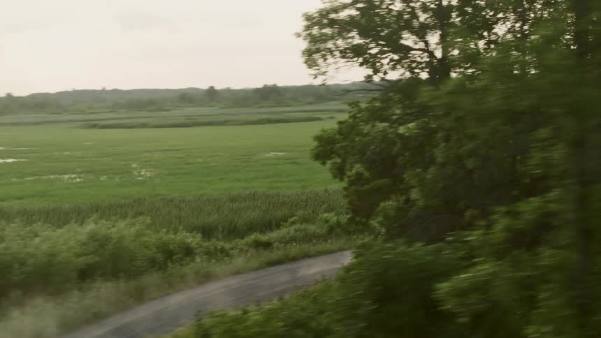 A car is driving through a rural area in spring