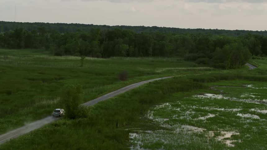 A car driving down a road near some grasses