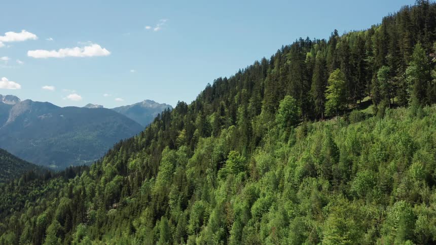 A hill with trees with a mountain range the sky and clouds in the background