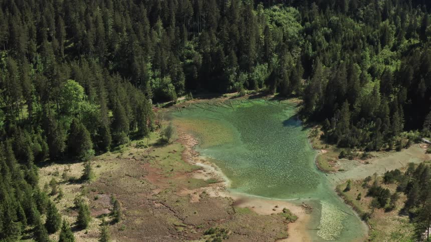 Lake with coastal beach and forest with many trees