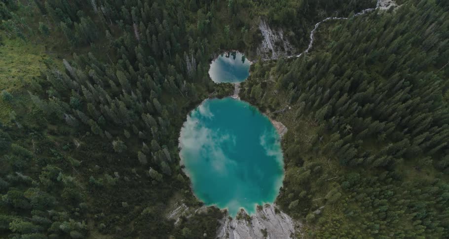 An aerial view of a forest with a pond and river running through it