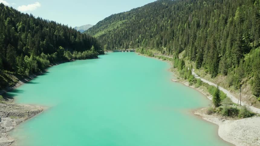 A river running through a forest