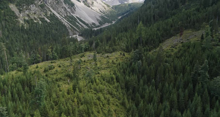Mountain forests and mountain range in the distance