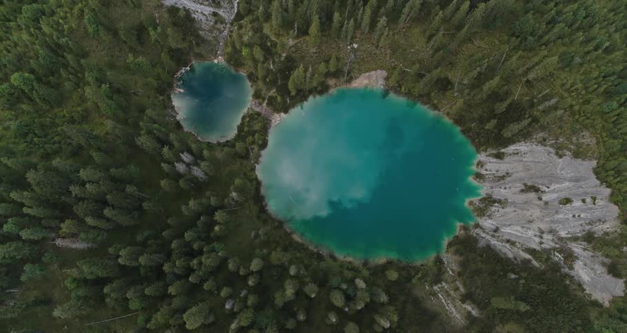A large lake is surrounded by a dense forest filled with countless trees