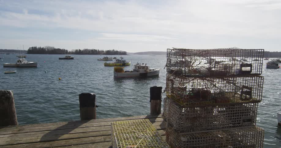 A pier has many boats in the water nearby