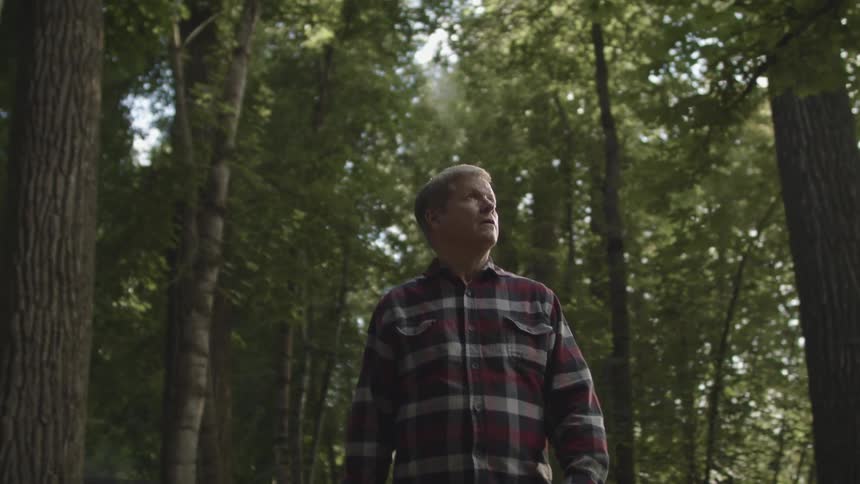 A man walking in the forest with trees the sky and clouds in the background