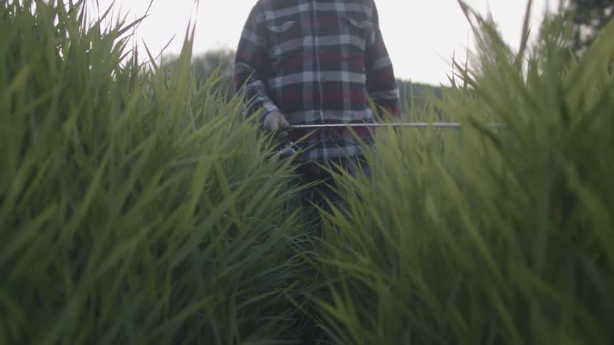 A man slowly walks through tall grass while waving his fishing rod from side to side