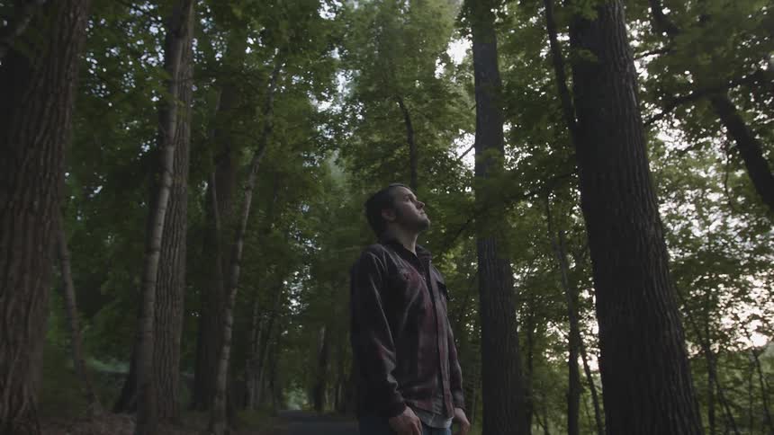 Man wearing a plaid shirt is standing in a forest with trees all around him
