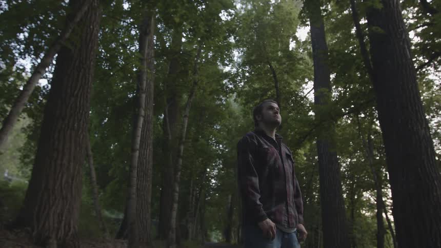 A man stands in a forest and looks around