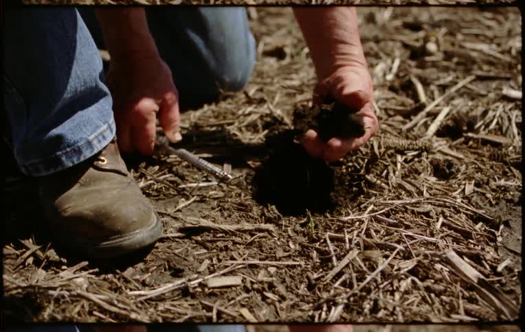 A man bends down a digs up some dirt in a field