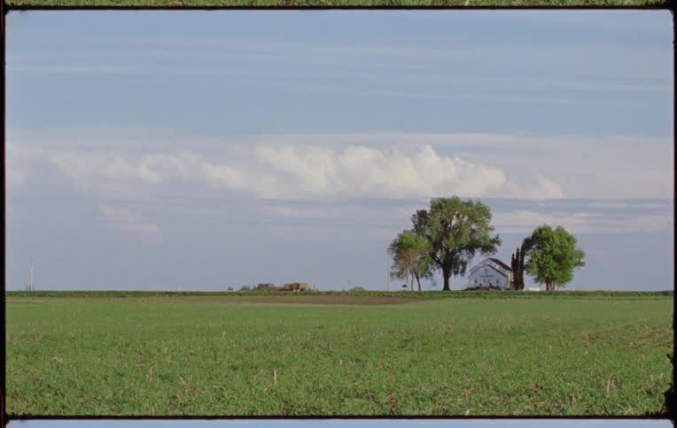 A car is driving in a rural area during spring
