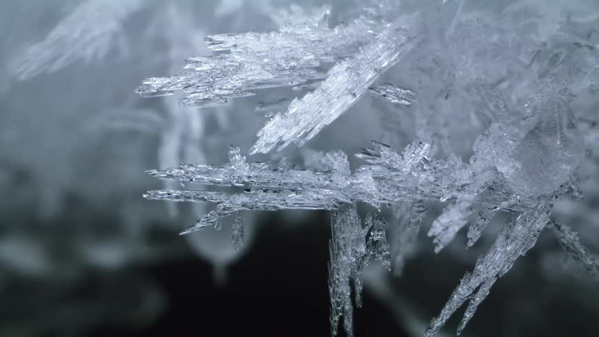 Tree branches and water are frozen in an arctic area