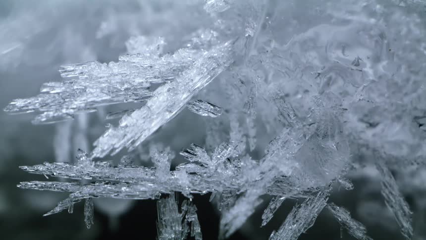 Layers of ice cover the needles on a pine tree