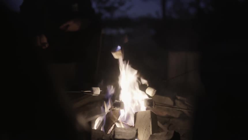 People roasting marshmallows over a fire