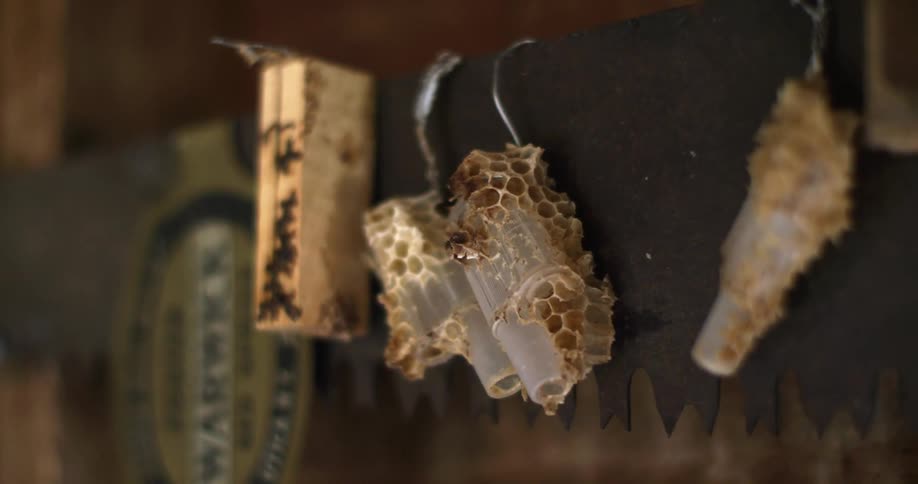 A honeycomb covered plastic funnels hangs off a wood slab