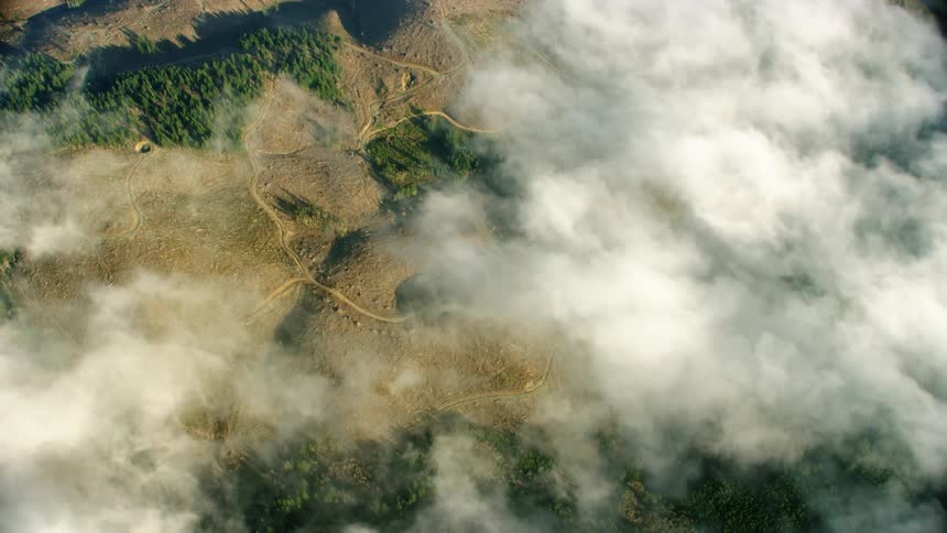 The white clouds reveal a vast clear cut logging operation where huge tracts of forest have been cut down and logged in this high altitude aerial shot