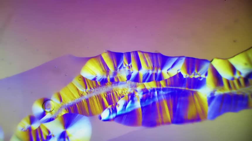 Colourful crystals appear under a microscope creating abstract pattern