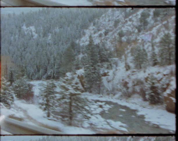 Footage of a wooded area in winter is displayed