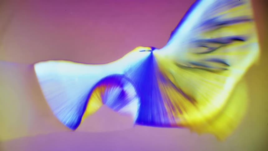 Abstract crystals form under a microscope