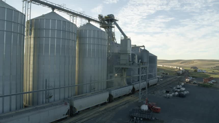 Hopper cars are filled with grain at a rail loading facility surrounded by rolling farmland in the morning sun