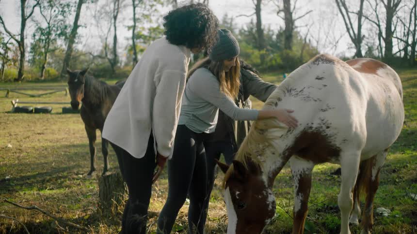 Three women pet the horses on the field