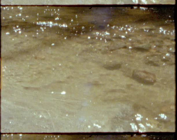 A river with rocks and water with trees and plants in the background