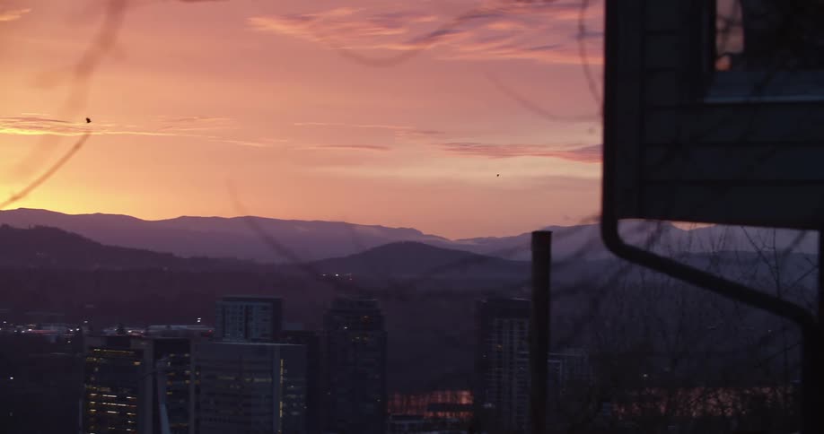 A flock of birds fly together over downtown of a city near a mountain range