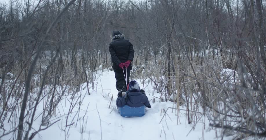 A person pulls a child on a sled through a snowy forest