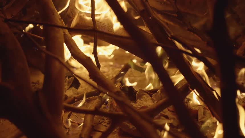 Flames burn dry branches at night
