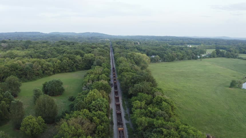 Train moving through a forested area