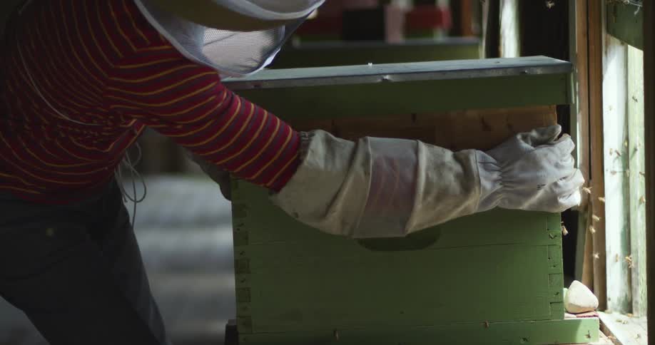 A beekeeper is holding a box full of bees