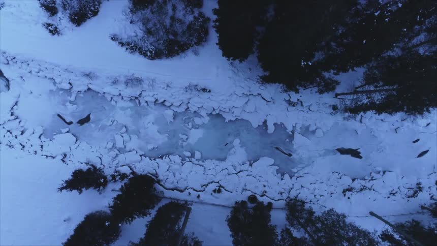 A birds eye view of a frozen river in a pine forest in nature