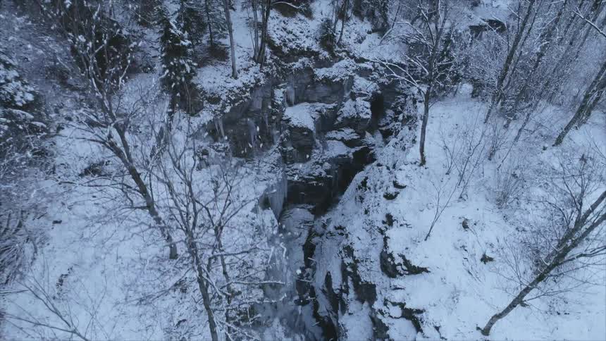 Snow covered forest with a ravine running through it