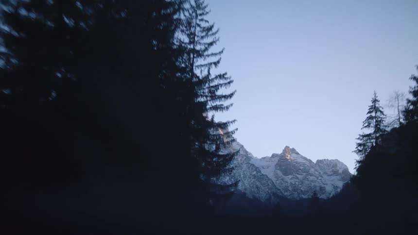 Trees at the base of a mountain range