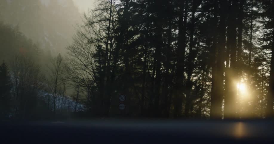 Vehicles travel along a road at the base of a foggy mountain as sunlight shines through the surrounding trees