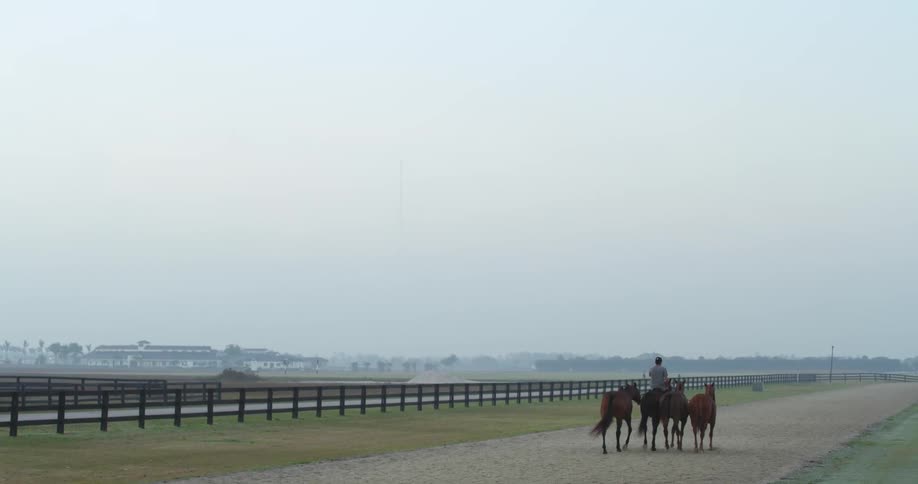 A man leading horses on a track with the sky and clouds in the background