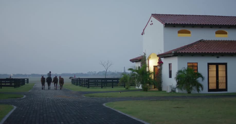 A view of someone riding a horse near other horses
