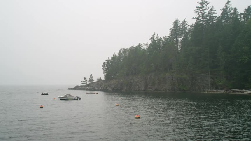 Boats in a lake just off the shore
