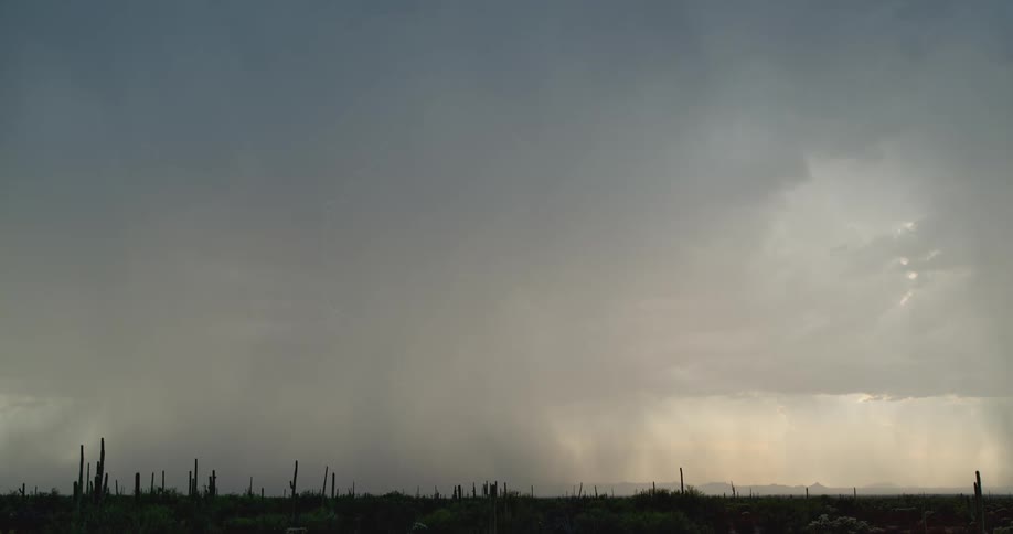 Lightning flashes as thunderstorm rain clouds pass over land