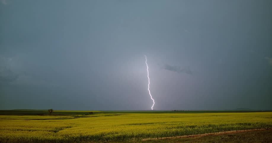 A flash of lightning strikes down from the sky in the distance of a large field