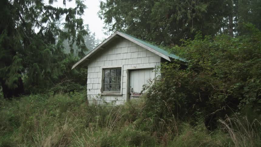 A small white shed with a window and a light blue roof out in a backwoods setting at daytime