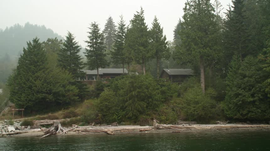 Trees in a forest are surrounding a river