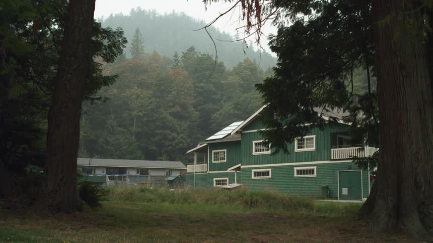 A green house is shown surrounded by trees