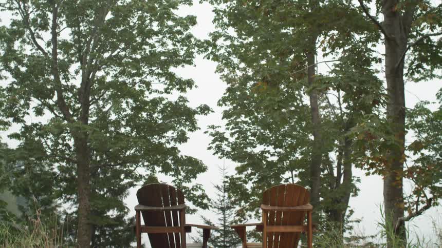 Two adirondack chairs next to trees on a summer day