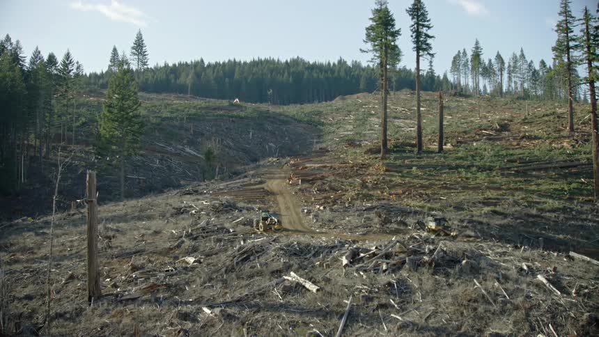 The camera slowly pans right revealing an entire hillside that has been logged and cut down as merchantable timber in the pacific northwest